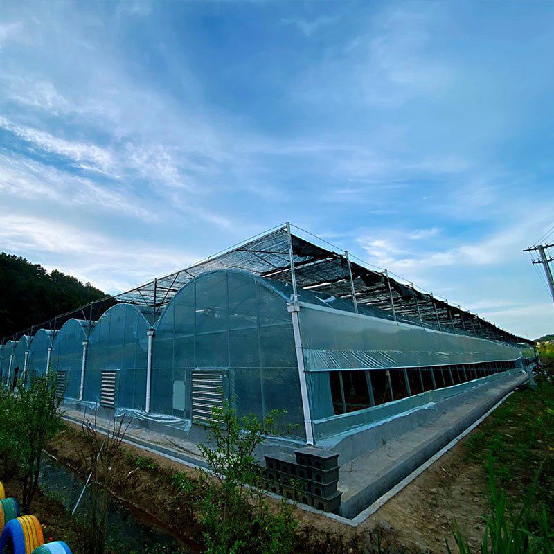 大豐溫室工程